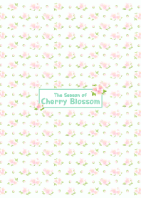 The Season of Cherry Blossom