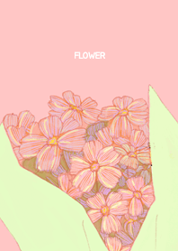 สีชมพู ดอกไม้