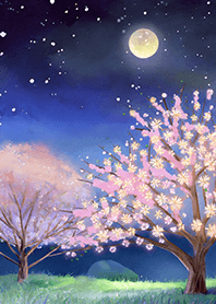 Beautiful night cherry blossoms#2463