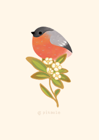 Bullfinch