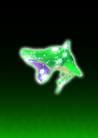 Shining shark emerald green