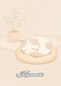 Cozy Lazy Cat: Kazunari