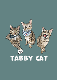tabbycat2 / cadet blue