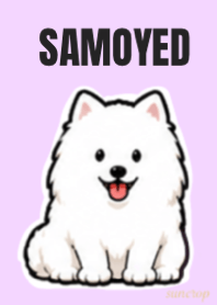 Cute Samoyed Life