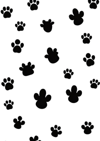 Cat Paw Prints Hsnhy