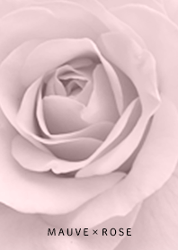 Simple Mauve pink48_2