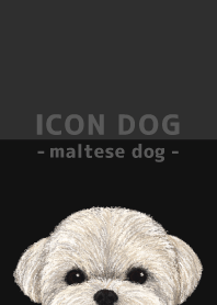 ICON DOG - Maltese dog - BLACK/03