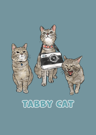 tabbycat11 - teal blue
