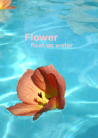 Flower float on water.