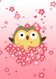 OWL's Live about appreciate the flowers