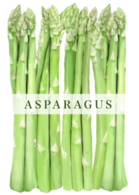 Flesh Asparagus 20