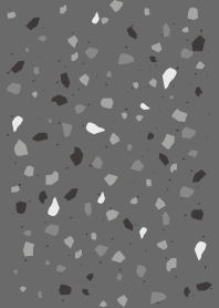 Terrazzo Texture Stone