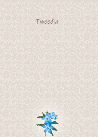March's birth flower,Tweedia.