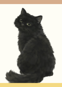Black Cat Light Yellow and Brown