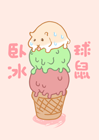 臥冰球鼠-少女粉紅色