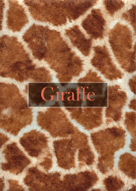 giraffe Fur 11