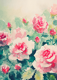 Beautiful rose flower(R4464)