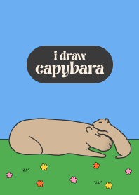 i draw capybara