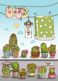 กระบองเพชรหลังบ้านวันซักผ้า