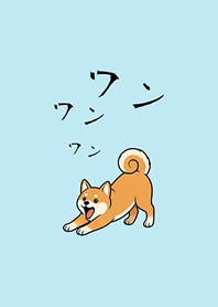 我養的可愛柴犬(水藍色)