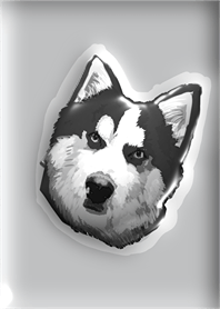 Siberian husky.