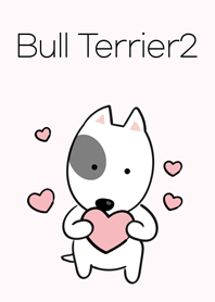 Cute Bull Terrier2