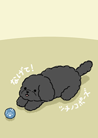 black toy poodle and toys