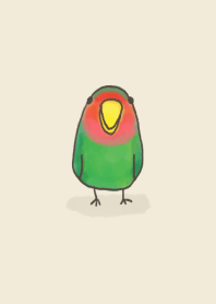 Rosy-faced Lovebird