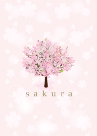 Sakura in spring 21
