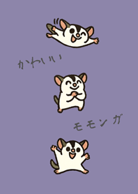 กระรอกบินน่ารักของฉัน(สีม่วงโมรันดี)