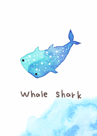 I love cute whale sharks5.