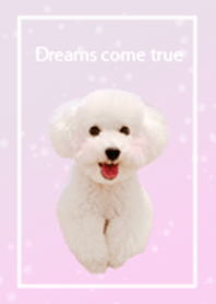 Dreams Come True (pastel color)