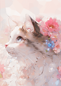 ペルシャの白猫