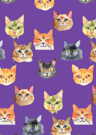 lots of cat faces on purple