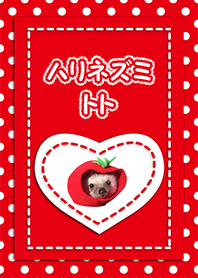 Hedgehog Toto