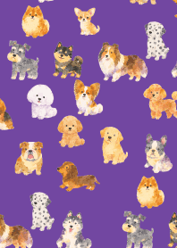 Is my dog here? 01 purple