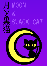 月と黒猫