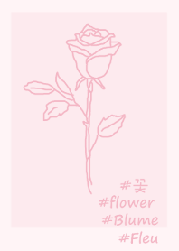 #flower rose(pink)