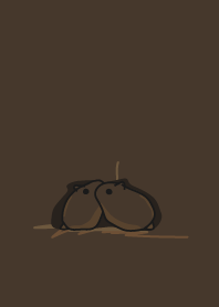 mouse staring - 11 - around