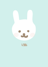 Rabbit are my favorite13