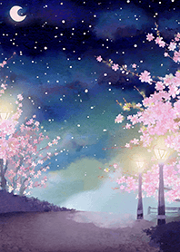 Beautiful night cherry blossoms#482