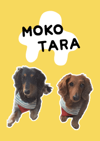 もこたらきせかえ