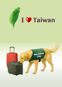 Labrador ! Taiwan's quarantine dogs ! 2