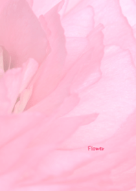 花のきせかえ42