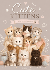 Cute Kittens Together