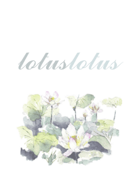 lotus lotus