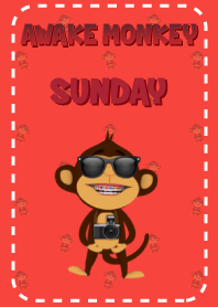Awake Monkey Sunday