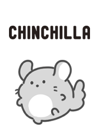 モノクロなチンチラ