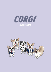 corgicorgi4 - purple