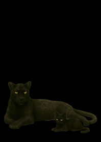 black 黒いペア01